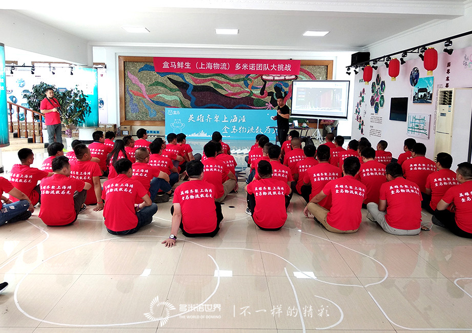 盒馬鮮生（上海物流）多米諾團(tuán)隊(duì)大挑戰(zhàn)