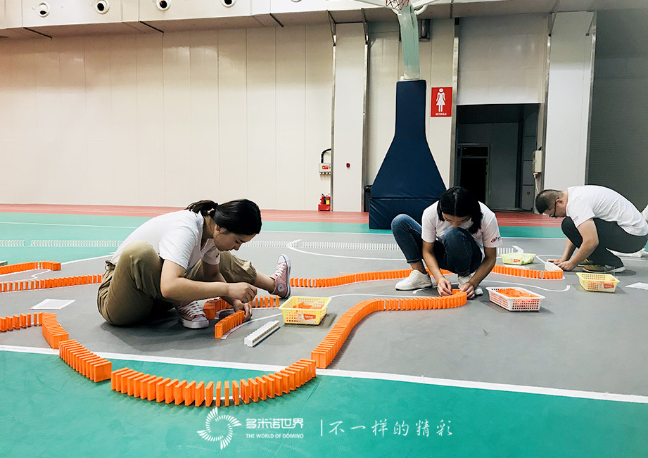 科捷新手訓(xùn)練營-在多米諾世界成為更好的自己