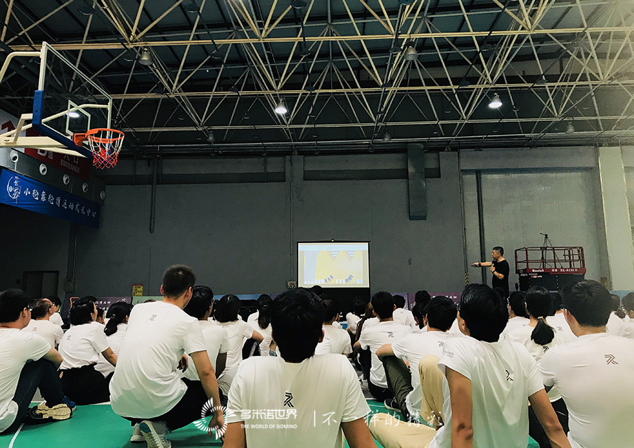 科捷新手訓(xùn)練營-在多米諾世界成為更好的自己