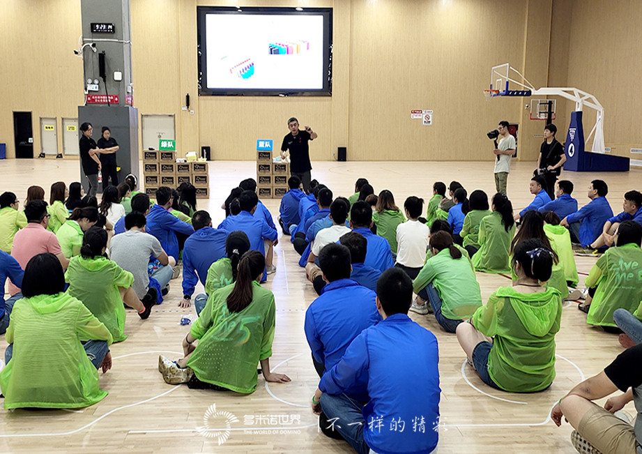 拜耳多米諾團隊大挑戰(zhàn)