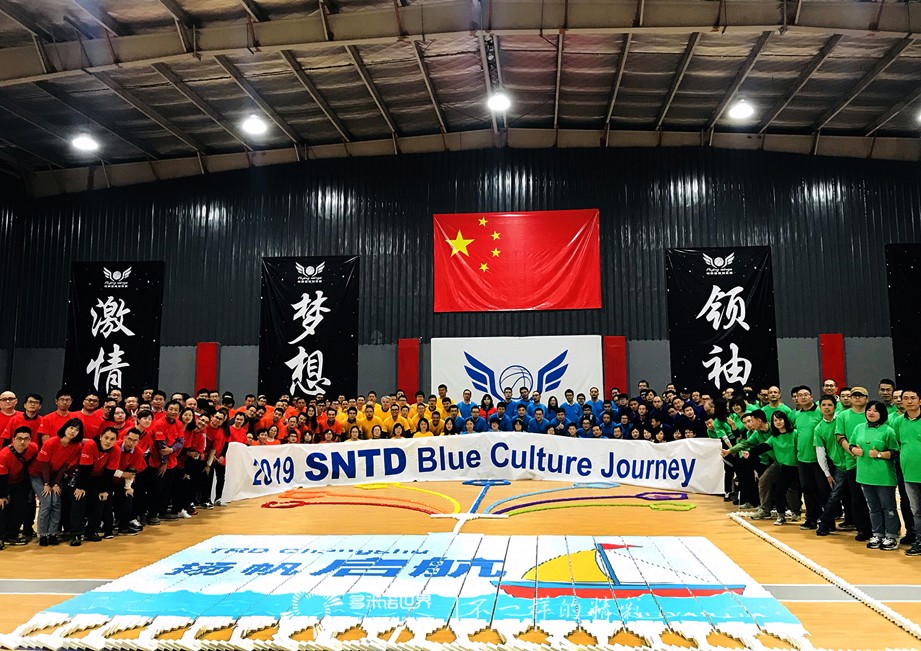 諾華藍(lán)色文化之旅，在多米諾世界揚(yáng)帆啟航