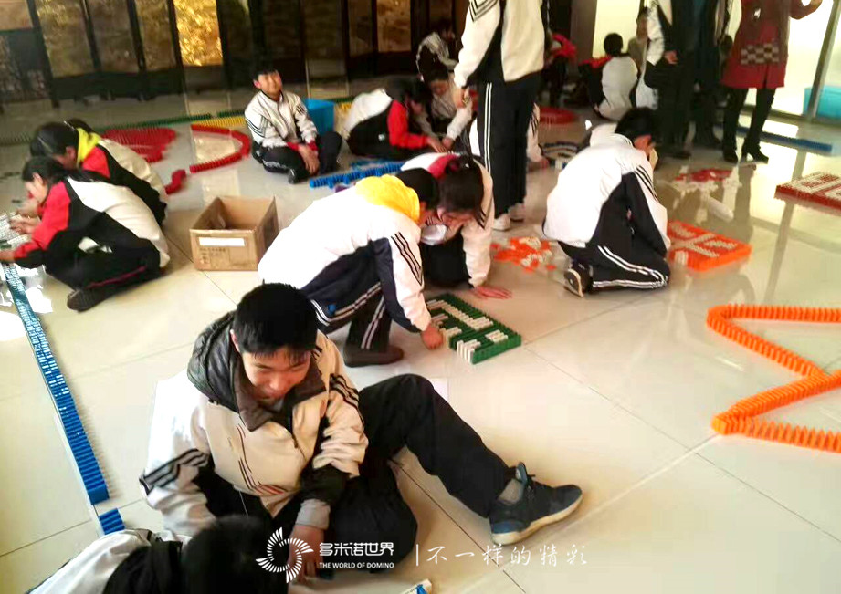 大東區(qū)素質(zhì)教育學(xué)校多米諾訓(xùn)練營開課