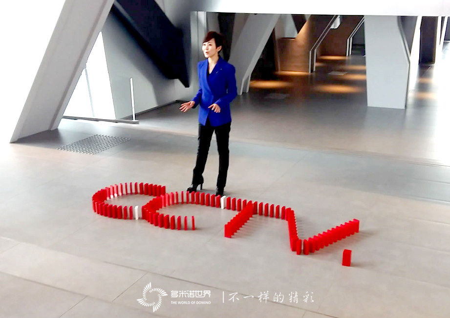 多米諾數(shù)說CCTV2015